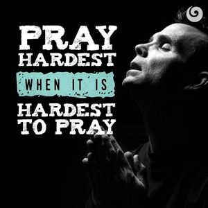 Meet your Posher, Sandi